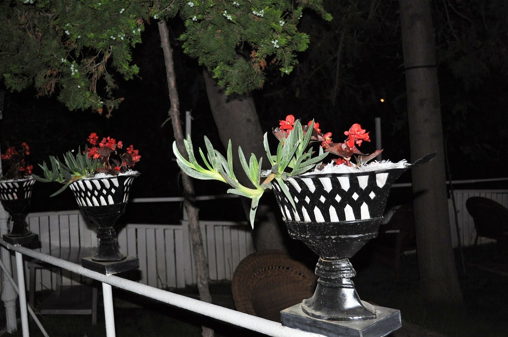 Syedra Princess Hotel Mahmutlar Exterior photo